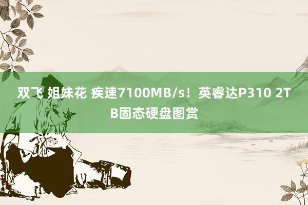 双飞 姐妹花 疾速7100MB/s！英睿达P310 2TB固态硬盘图赏