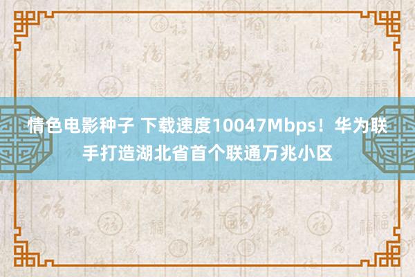 情色电影种子 下载速度10047Mbps！华为联手打造湖北省首个联通万兆小区