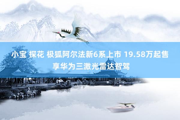 小宝 探花 极狐阿尔法新6系上市 19.58万起售 享华为三激光雷达智驾