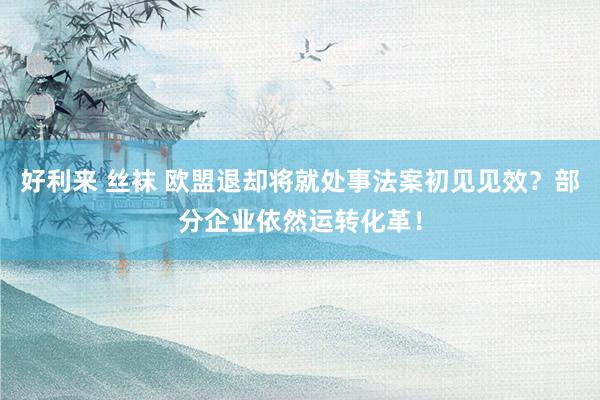 好利来 丝袜 欧盟退却将就处事法案初见见效？部分企业依然运转化革！