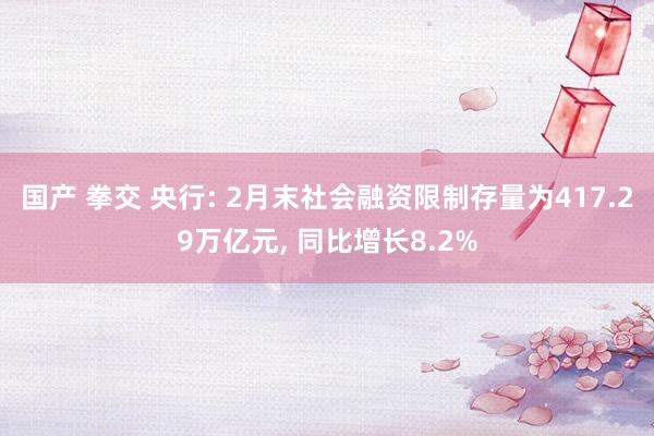 国产 拳交 央行: 2月末社会融资限制存量为417.29万亿元， 同比增长8.2%