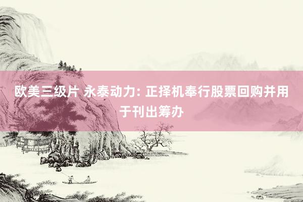 欧美三级片 永泰动力: 正择机奉行股票回购并用于刊出筹办