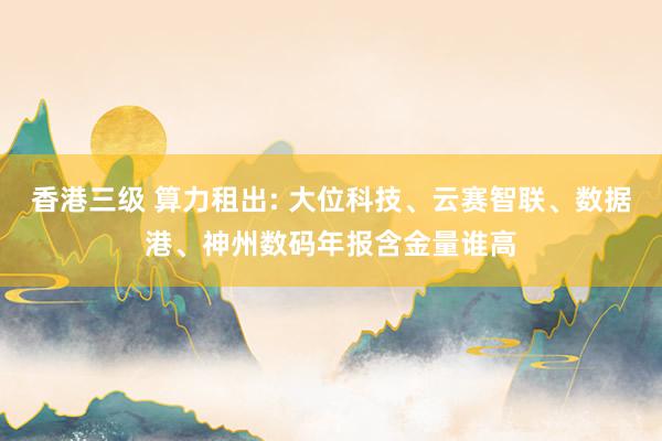 香港三级 算力租出: 大位科技、云赛智联、数据港、神州数码年报含金量谁高