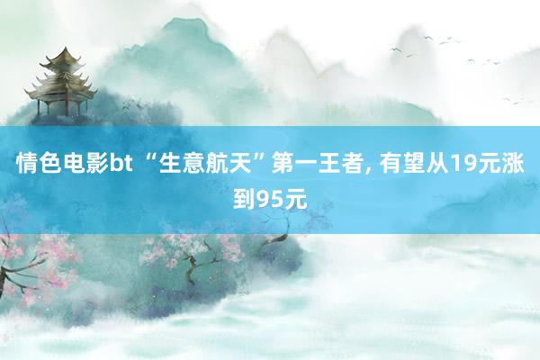 情色电影bt “生意航天”第一王者， 有望从19元涨到95元