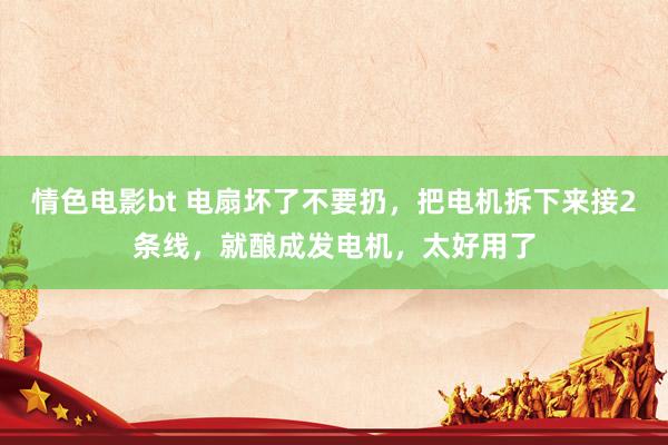 情色电影bt 电扇坏了不要扔，把电机拆下来接2条线，就酿成发电机，太好用了