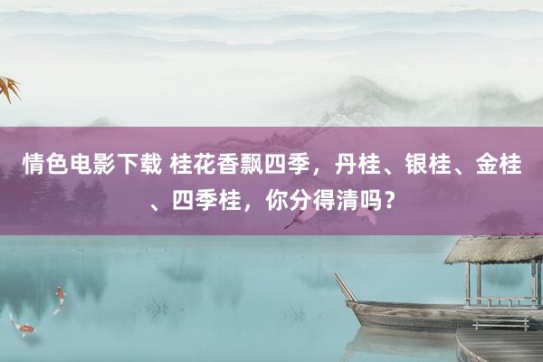 情色电影下载 桂花香飘四季，丹桂、银桂、金桂、四季桂，你分得清吗？