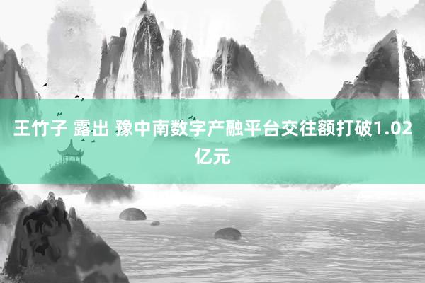 王竹子 露出 豫中南数字产融平台交往额打破1.02亿元